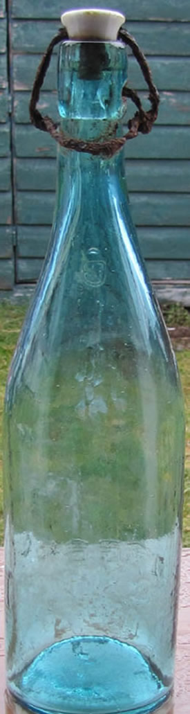 chinese beer bottle